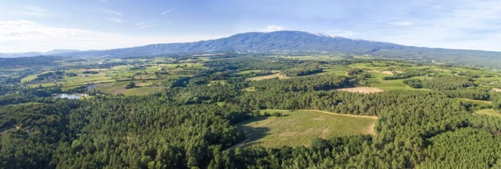 Un vent de fraîcheur sur le Ventoux