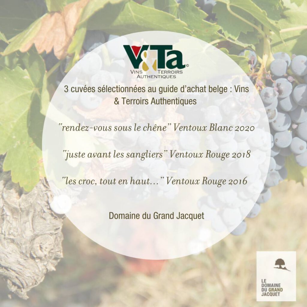 Le guide belge Vins & Terroirs Authentiques