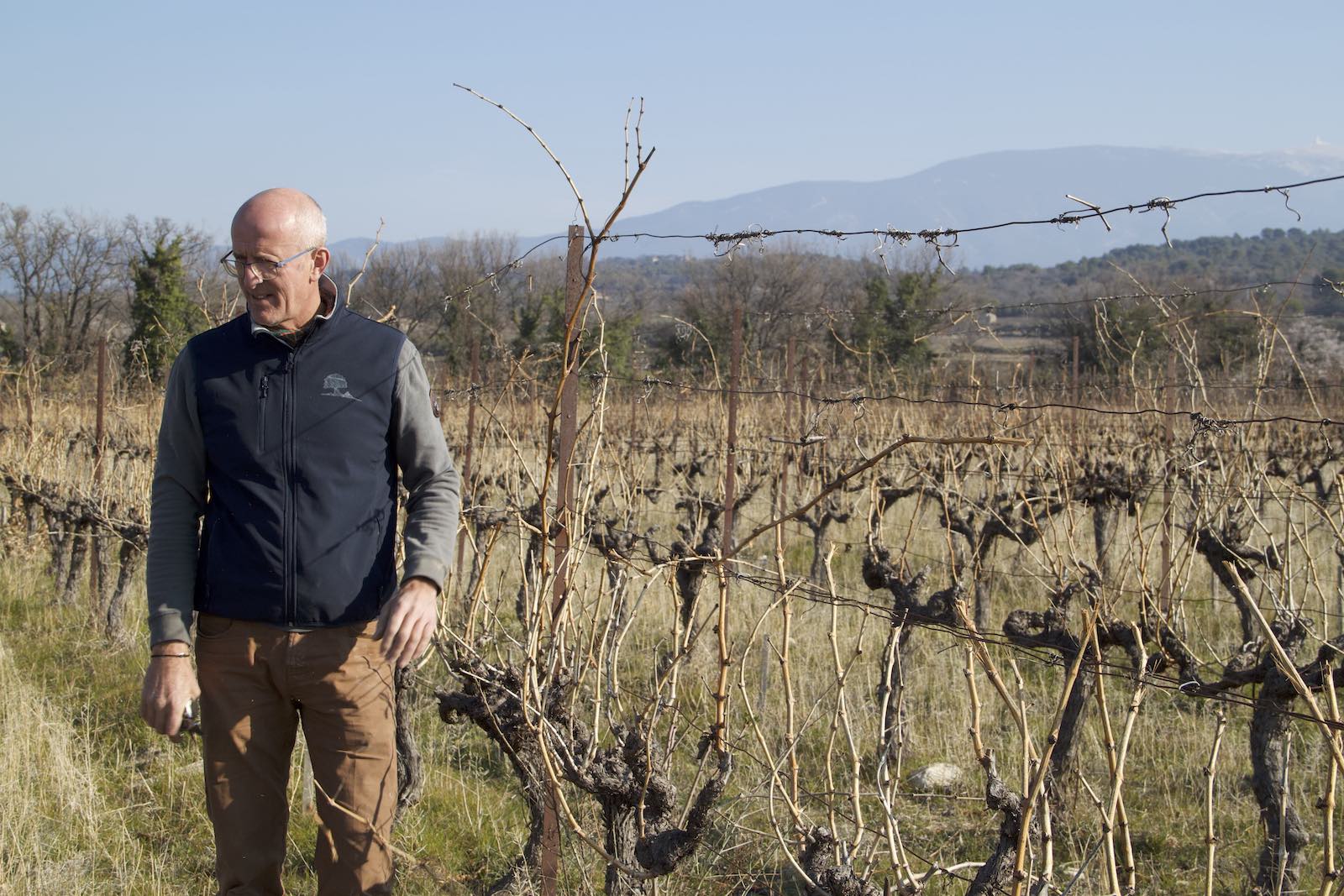 Vins AOC Ventoux - nos cuvées - Patricia et Joël Jacquet