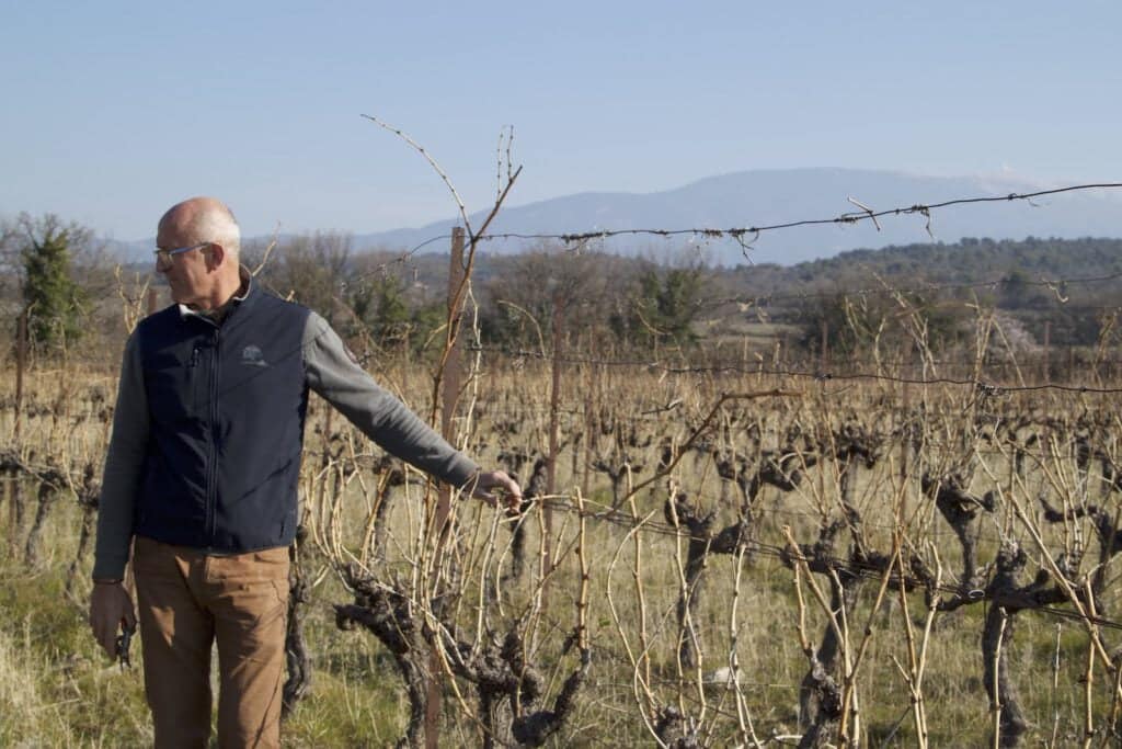 domaine viticole mazan - le domaine du grand Jacquet