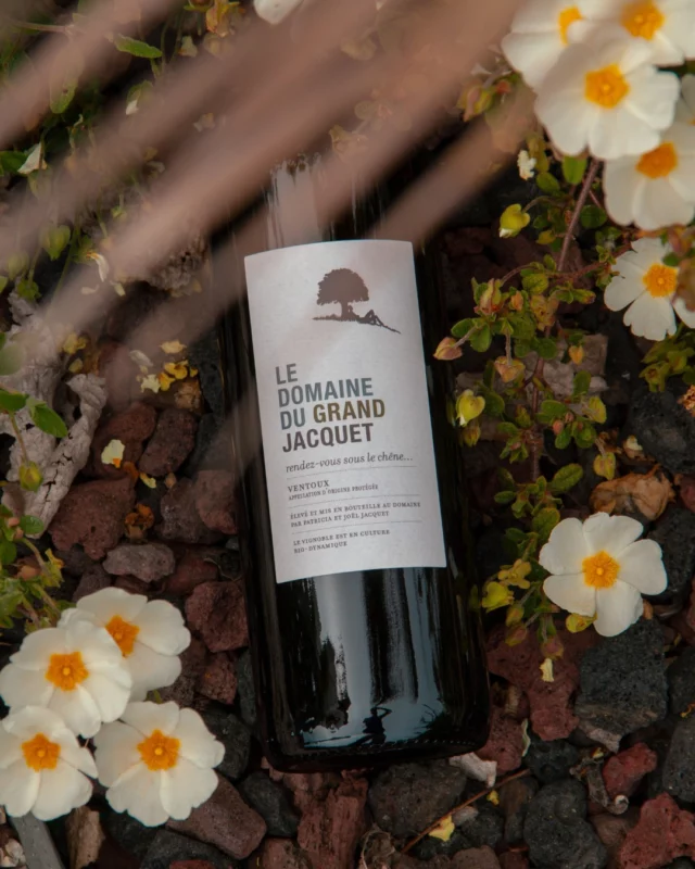 🌼Quand la délicatesse des fleurs rencontre la richesse d’une bouteille, la beauté de l’instant prend tout son sens. 🌼🍇

👩‍💻&📸 @vitiprom

#wineinstagram #winelover #spring #partage #domainegrandjacquet

L'abus d'alcool est dangereux pour la santé, à consommer avec modération.