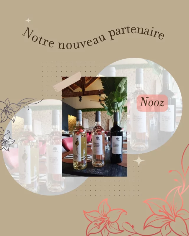 Vous pouvez désormais retrouver nos cuvées au restaurant @restaurant_nooz  à Bédoin ! ✨🌸

📍368 Rte de Crillon, 84410 Bedoin
📞 06 45 90 83 31
🌐https://restaurantnooz.eatbu.com/?lang=fr 

#partenaires #restaurant #domainedugrandjacquet #ventoux #bedoin #vaucluse #wineandfood 

L'abus d'alcool est dangereux pour la santé, à consommer avec modération.
