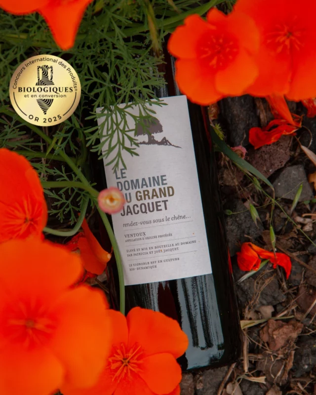 🥇 Une médaille d’or au Concours International des Produits Biologiques et en conversion 2025, avec une note de 90/100 pour notre Rendez-vous sous le Chêne Rouge 2021 ! 🌱🍷

👉🏻 Encore disponible au caveau et sur notre boutique en ligne www.grandjacquet.fr

#vinbio #ventoux #rendezvoussouslechenerouge #medailledor #concoursbio2025 #aocventoux #wineaward #vin2021 #organicwine #terroir #vigneronindependant

L'abus d'alcool est dangereux pour la santé, à consommer avec modération.